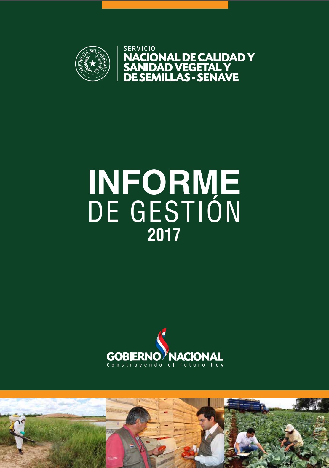 informe de Gestion 2017