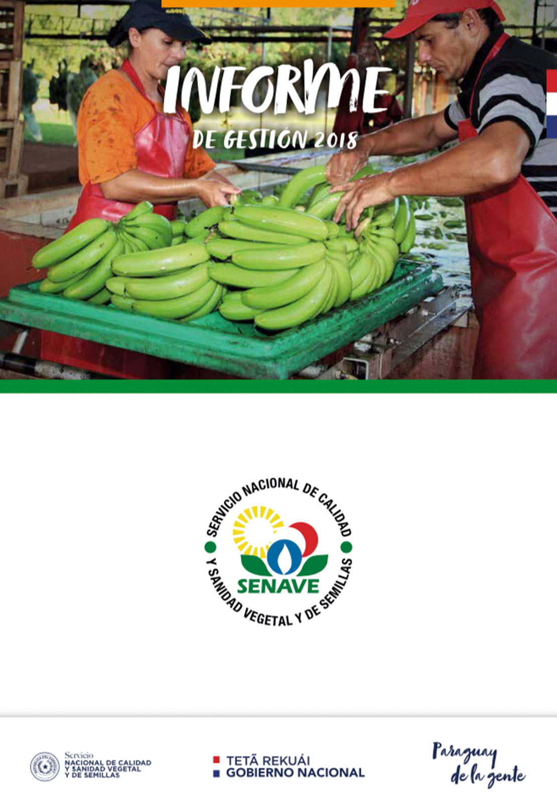 informe de Gestion 2018