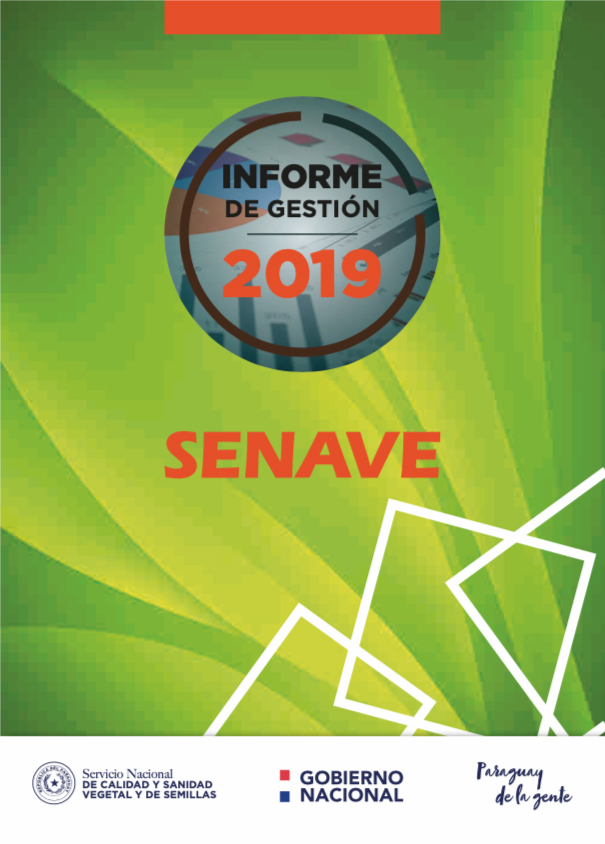 informe de Gestion 2019