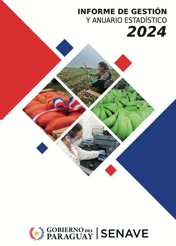 Informe de Gestion 2024