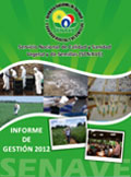 Informe de Gestión 2012