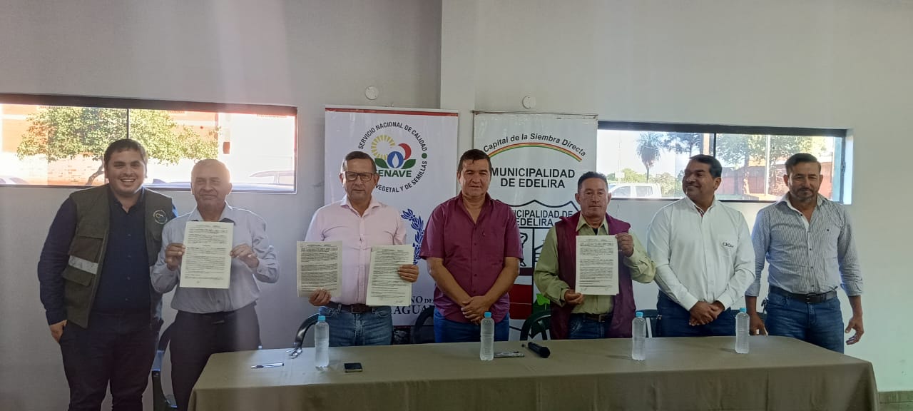 Pequeños agricultores de Edelira se suman a trabajos de producción de semillas certificadas