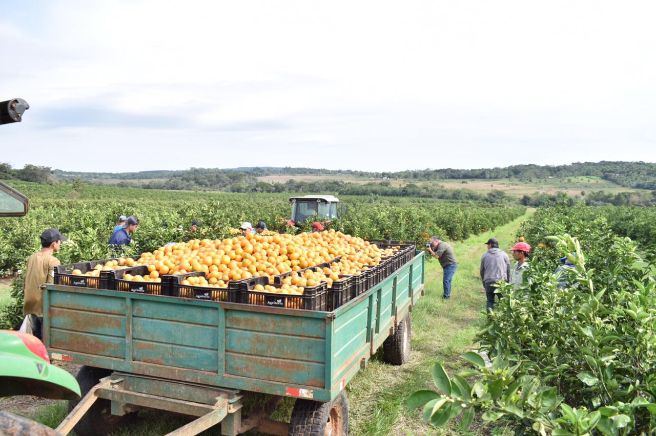 Analizarán estrategias para el fortalecimiento de la producción frutihortícola en Paraguay