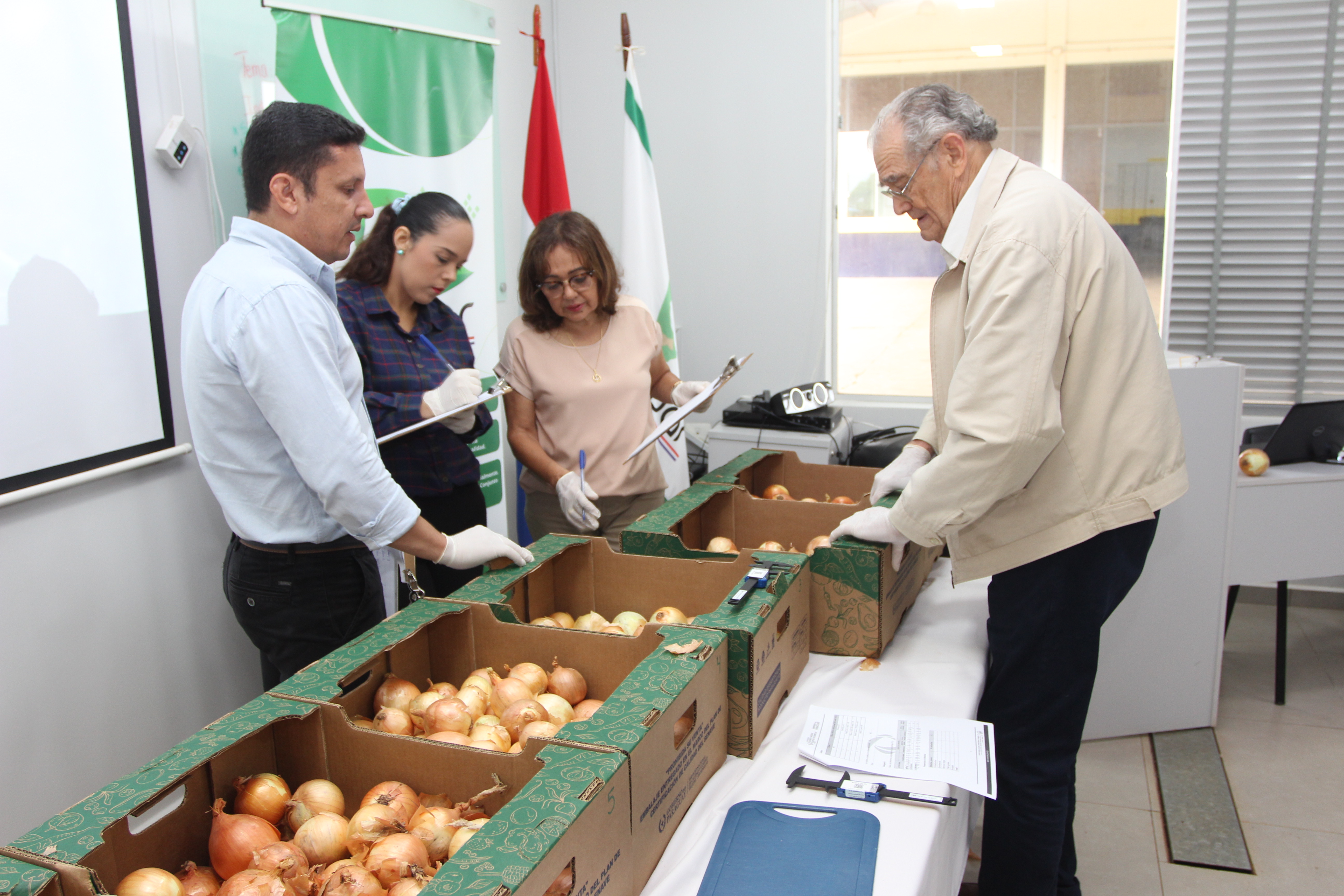 Destacan importancia de manejo de cosecha y poscosecha de la cebolla