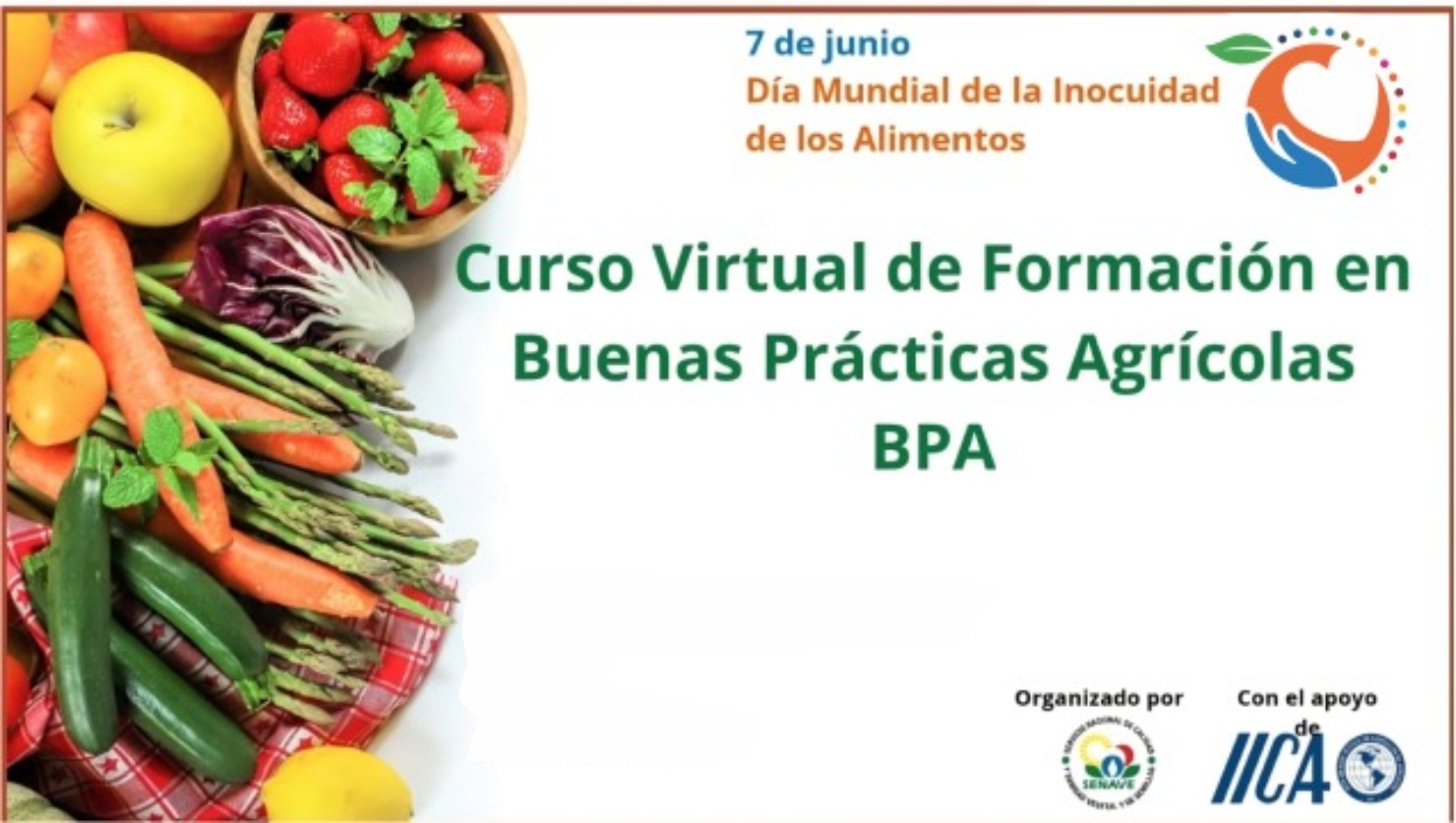 Culminó 2° edición del curso virtual de Formación de Buenas Prácticas Agrícolas