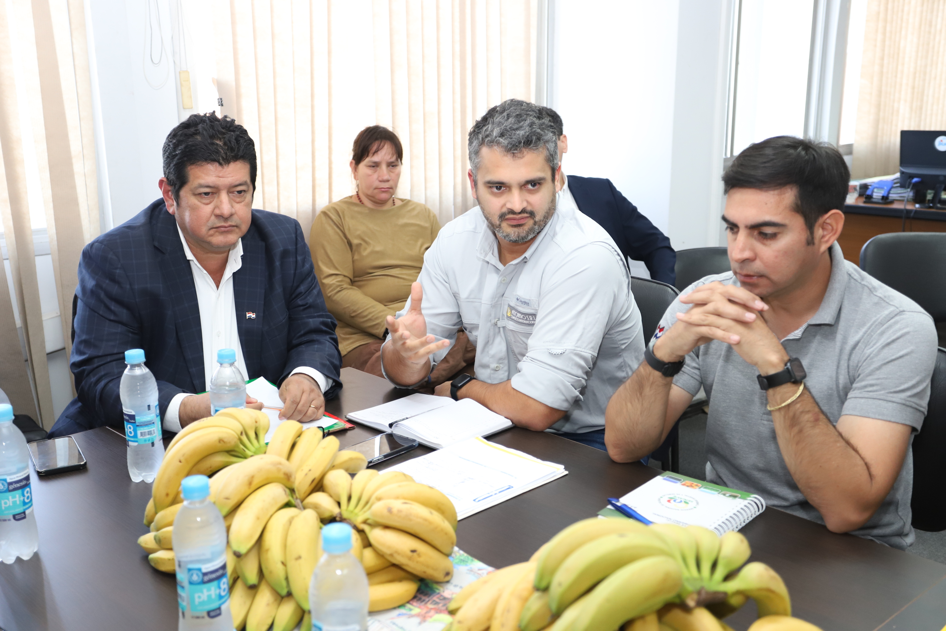 Trabajan en el fortalecimiento de la producción de banana