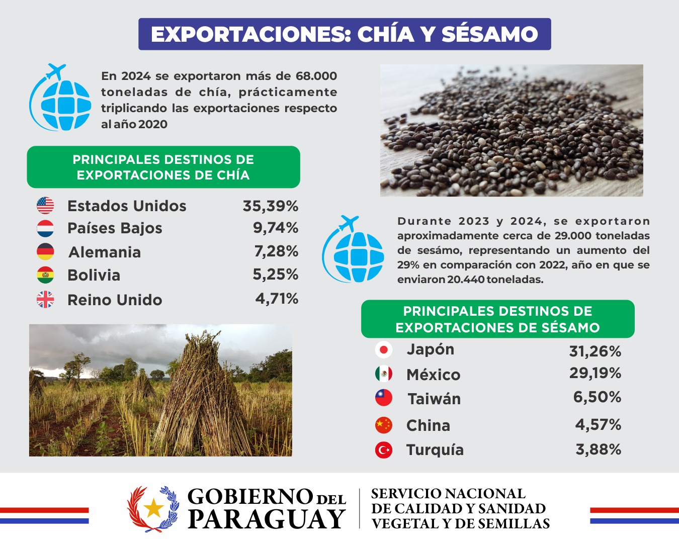 Exportaciones: Chía y Sésamo registraron importante crecimiento