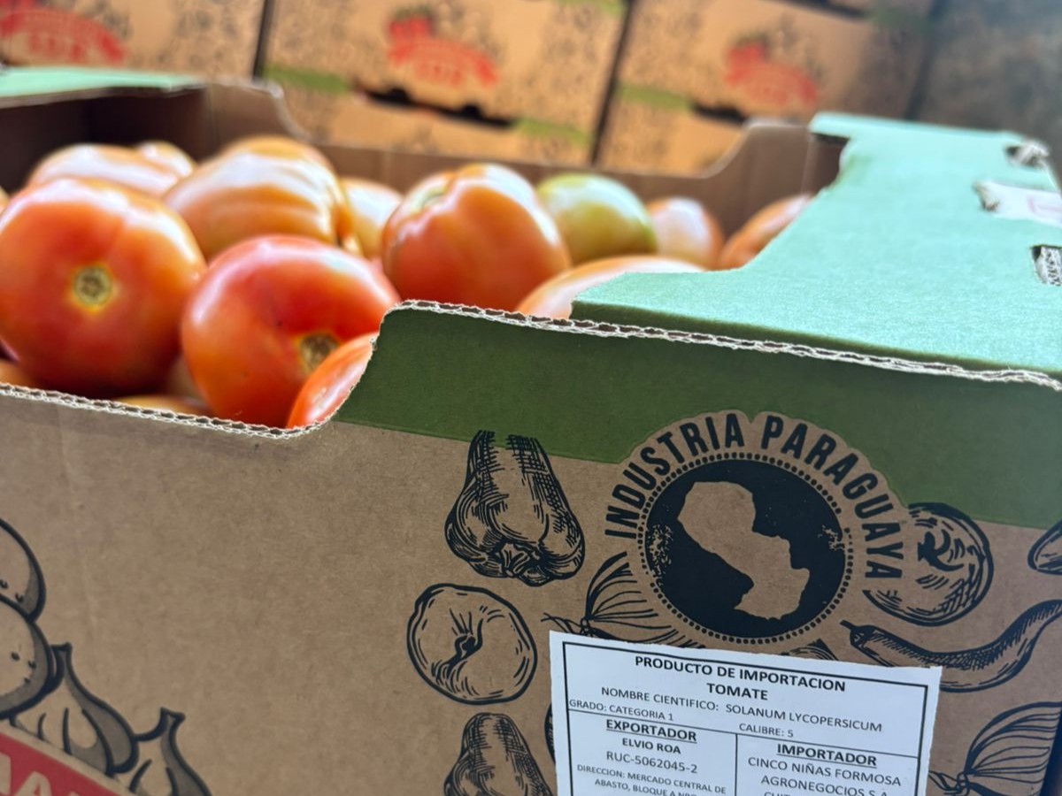 Primera exportación de tomate del 2025