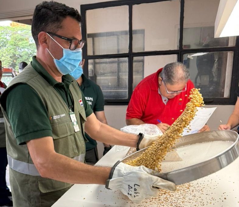 Alentador inicio de año para exportaciones agrícolas