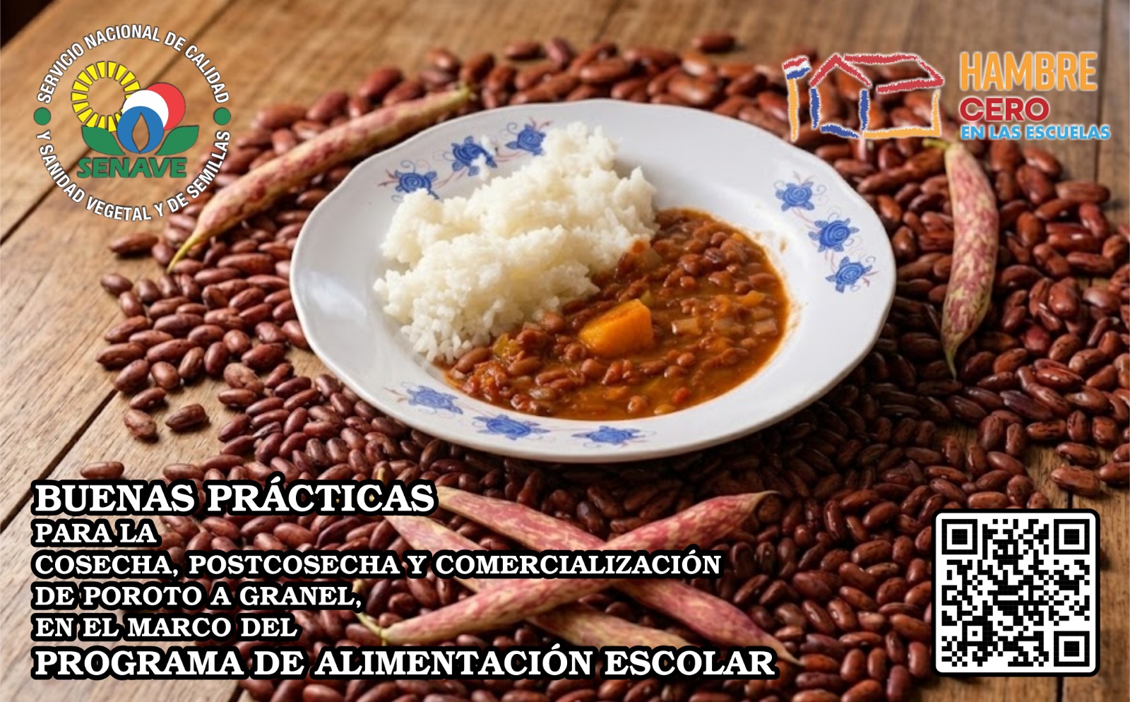 Guía para mejorar la calidad del poroto para el programa Hambre Cero